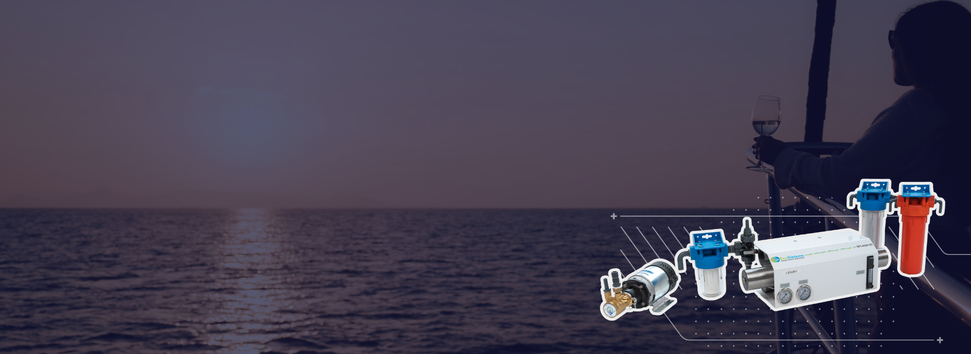 COVER - Eco-Sistems png